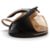 Steam generator iron