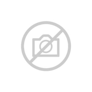 Enlarged view of picture