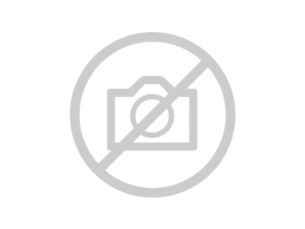 5-lead ECG Trunk Adapter Adapter