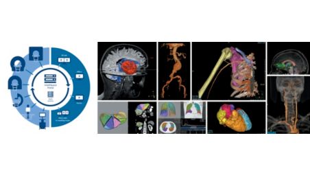 Multiple clinical domains, one standard for diagnosis