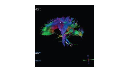 Neuroscience studies package