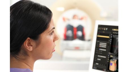Integriertes Arbeiten mit Big Bore und Pinnacle³