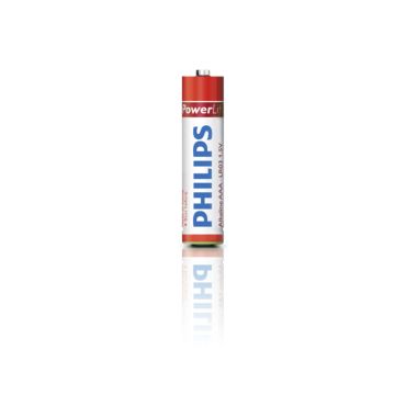 PowerLife LR03P4B Alkaline battery