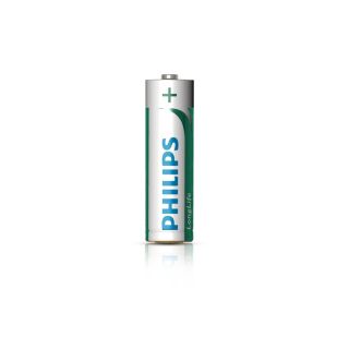Super Heavy Duty R6L4F Battery