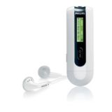 Flash audio player