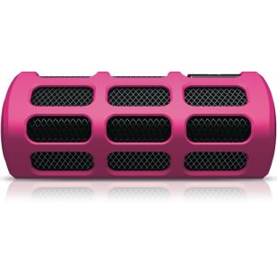 SB7250 FM Wireless Speaker System