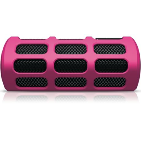 SB7250/98  SB7250 FM Wireless Speaker System