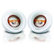 Portable Speaker System