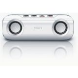 Portable Speaker System