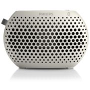 wireless portable speaker