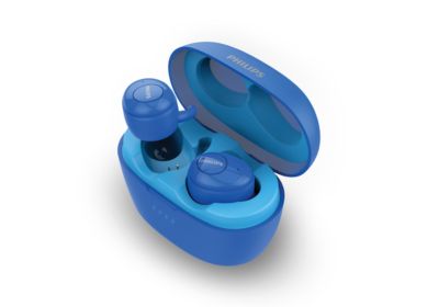 dual noise canceling microphone