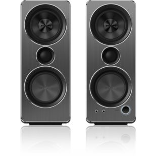 SPA8210 Multimedia Speakers 2.0