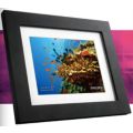 Your photos, one frame.