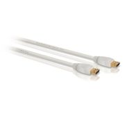 DisplayPort cable