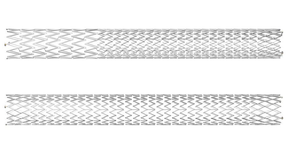 Duo Venous Stent System