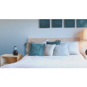 Wake up to FM radio and a smartphone fully charged