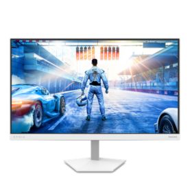 Fast IPS Gaming monitor