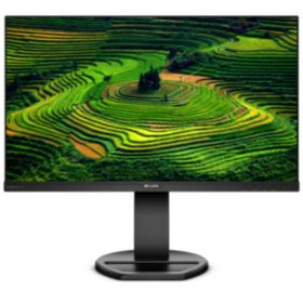 Monitor