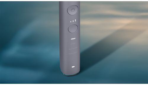 Vælg din ideelle børstning