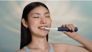 Guided brushing sessions