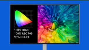 プロ仕様の色空間で、sRGB を 100％、REC 709 を 100％、DCI-P3 を 98％再現