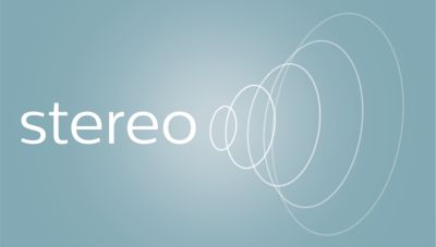 Integruoti „Hi-Fi“ stereogarsiakalbiai