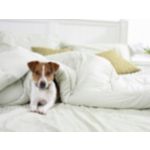 Püsige oma kodu, lemmikloomade või äriga ühenduses