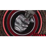 Everyone's got The Voice