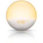 Pamostieties dabiski