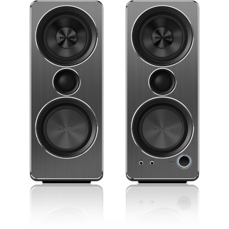SPA8210/12  Multimedia Speakers 2.0