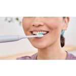 Harjapea igapäevaseks puhastamiseks