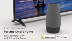 A perfect fit for any smart home