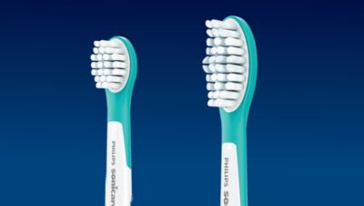 Two brush head sizes