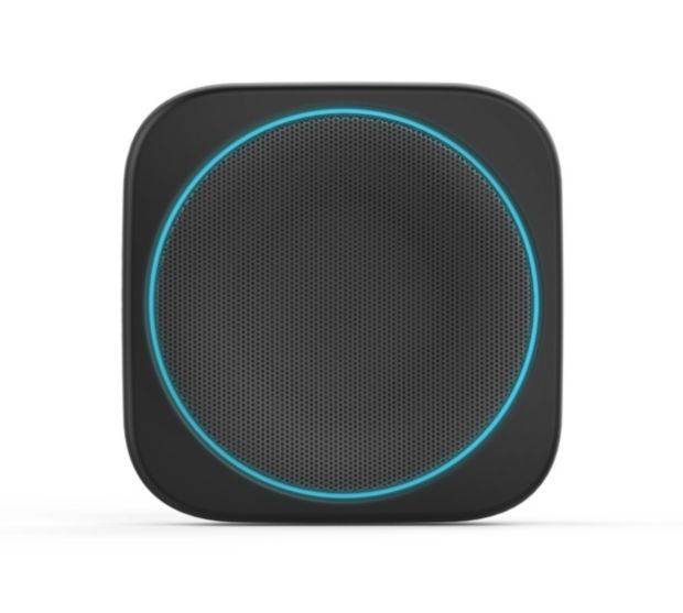wireless portable speaker
