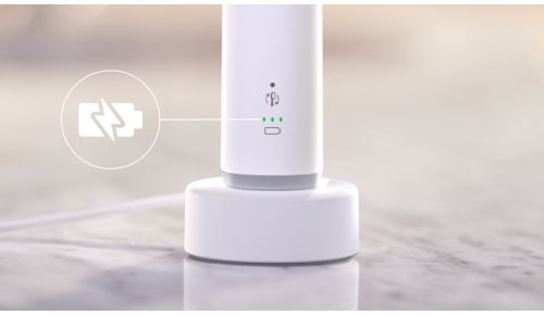 Hasta 3 semanas de cepillado con una carga completa