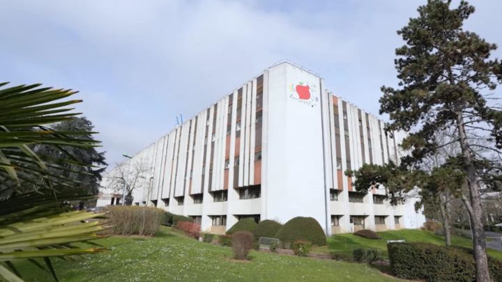 Partnering to improve personalized cancer care through digital pathology