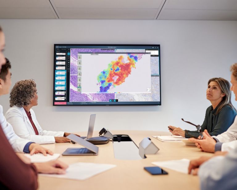 PIPS with Ibex AI contextually launched