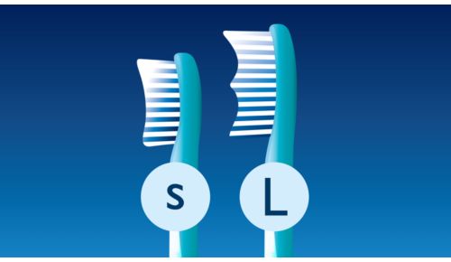 2 brush head sizes available
