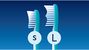2 brush head sizes available