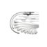 EPIQ ultrasound system transducer family thumbnail