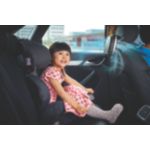 For fresh and healthy air in your car