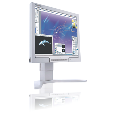 170P7EG/00 Brilliance LCD monitor