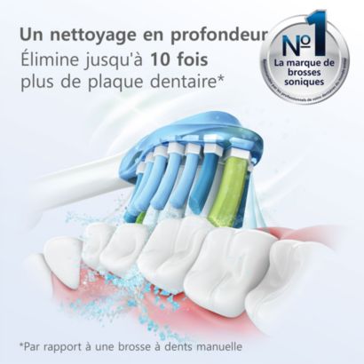 La tête de brosse qui offre un nettoyage en profondeur