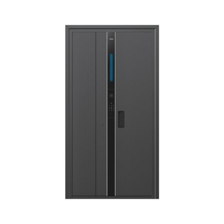 SDO501DUABDA/93 5000 series 智能门