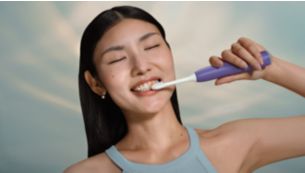 Séances de brossage guidées