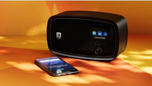 Bluetooth&reg; multipoint-connectiviteit en USB-audio