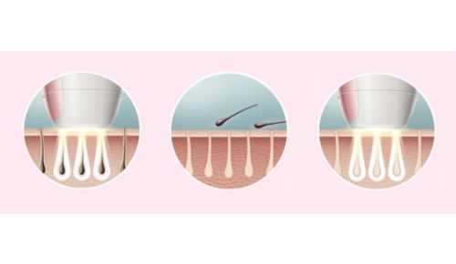 Disfruta de una piel suave a diario