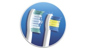 标准牙刷头适合深层清洁，小型牙刷头适用于精确清洁