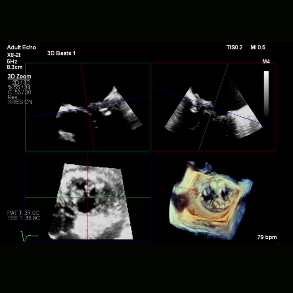 Supports your ability to reach a definitive diagnosis