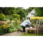 Reassurance Any Time, Anywhere